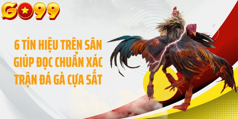 6 tín hiệu trên sân giúp đọc chuẩn xác trận đá gà cựa sắt