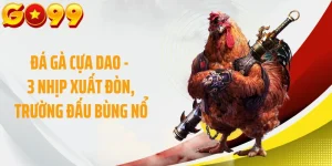 Đá Gà Cựa Dao - 3 Nhịp Xuất Đòn, Trường Đấu Bùng Nổ
