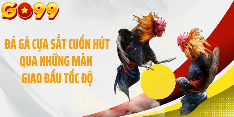 Đá gà cựa sắt cuốn hút qua những màn giao đấu tốc độ