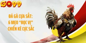 Đá Gà Cựa Sắt: 6 Mẹo “Đọc Vị” Chiến Kê Cực Sắc