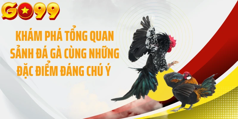 Khám phá tổng quan sảnh đá gà cùng những đặc điểm đáng chú ý 