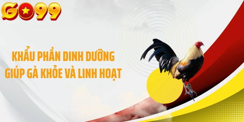 Khẩu phần dinh dưỡng giúp gà khỏe và linh hoạt