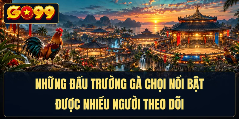 Những đấu trường gà chọi nổi bật được nhiều người theo dõi