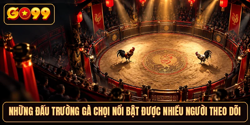 Những đấu trường gà chọi nổi bật được nhiều người theo dõi