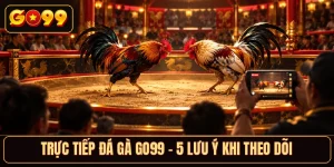 Trực Tiếp Đá Gà GO99 - 5 Lưu Ý Khi Theo Dõi