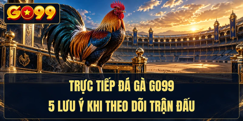 Trực Tiếp Đá Gà GO99 - 5 Lưu Ý Khi Theo Dõi Trận Đấu