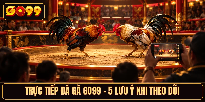 Trực Tiếp Đá Gà GO99 - 5 Lưu Ý Khi Theo Dõi